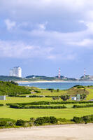 大崎射場 [YMA110016408]