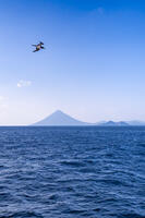 開聞岳とカツオドリ [YMA110016439]