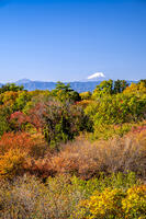 秋の六道山公園と富士山 [YMA110016473]
