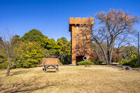秋の六道山公園 [YMA110016480]