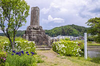 小栗上野介忠順終焉の地 [YMA110016568]