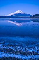 結氷する山中湖 [YMA110016584]