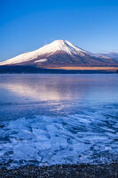 結氷する山中湖 [YMA110016590]