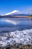 結氷する山中湖 [YMA110016595]