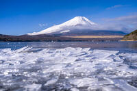 結氷する山中湖 [YMA110016597]