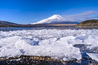 結氷する山中湖 [YMA110016598]