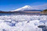 結氷する山中湖 [YMA110016599]