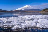 結氷する山中湖 [YMA110016600]