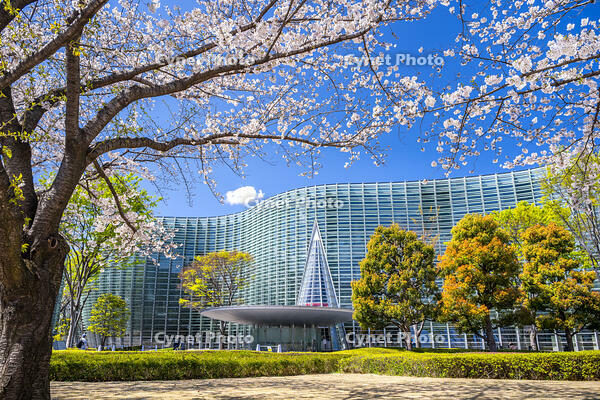 桜咲く新国立美術館 [YMA110016029]