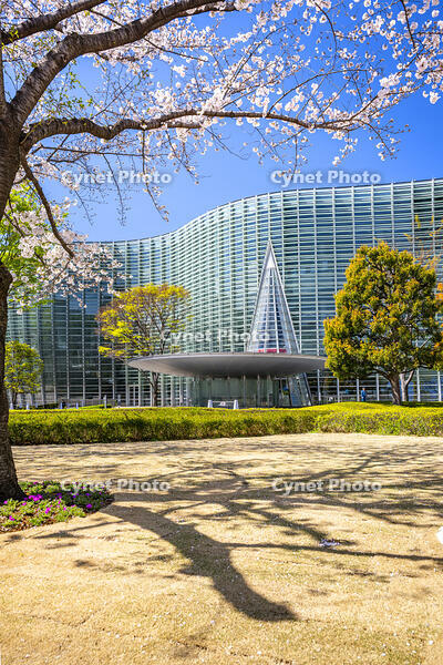 桜咲く新国立美術館 [YMA110016031]