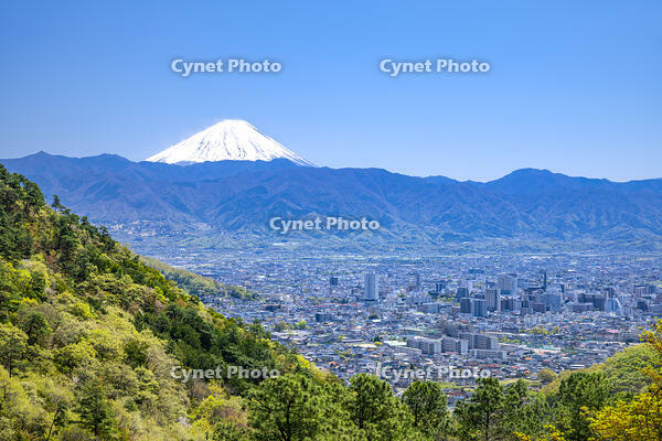 甲府盆地と富士山 [YMA110016095]