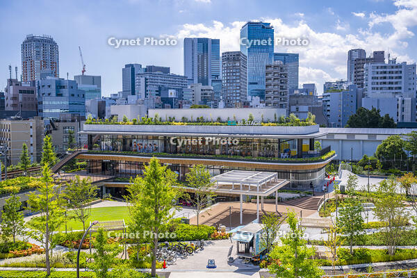 都立代々木公園の神南一丁目地区 [YMA110016169]