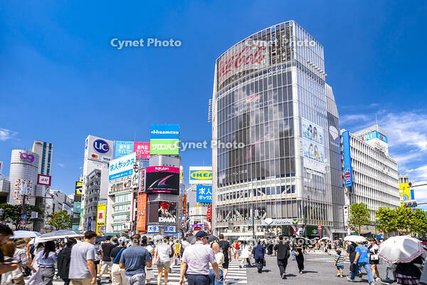 渋谷スクランブル交差点 [YMA110016170]