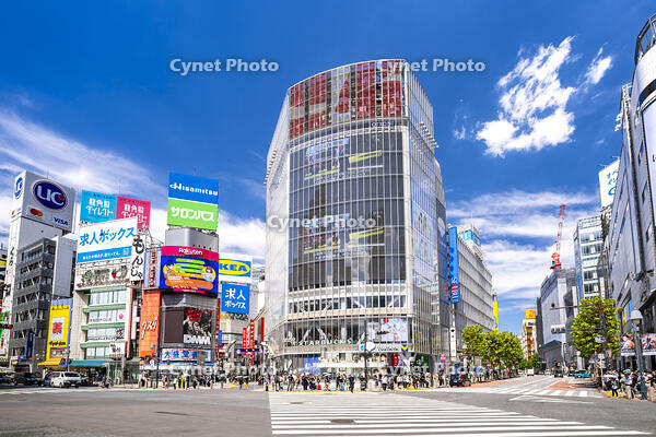 渋谷スクランブル交差点 [YMA110016172]