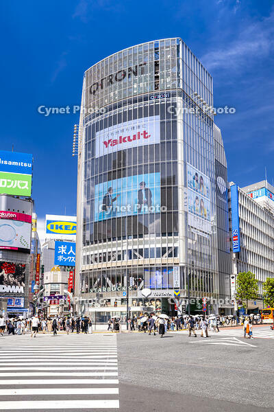 渋谷スクランブル交差点 [YMA110016173]