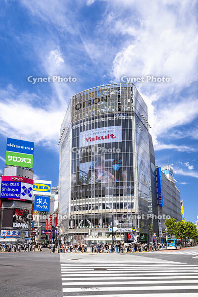 渋谷スクランブル交差点 [YMA110016174]