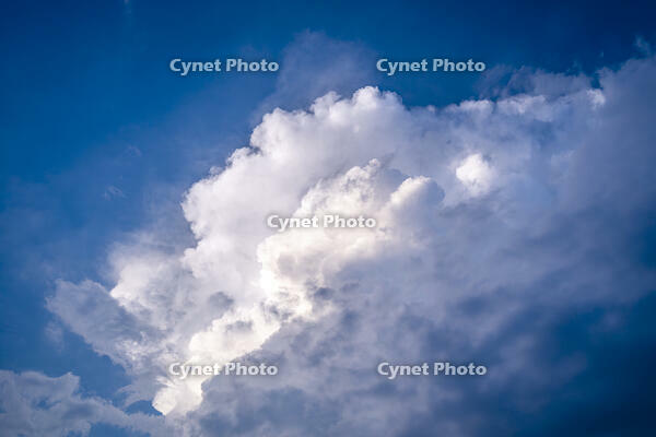 入道雲 [YMA110016175]