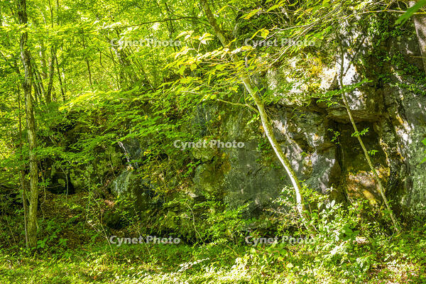 鷹丸尾溶岩の大露頭 [YMA110016178]