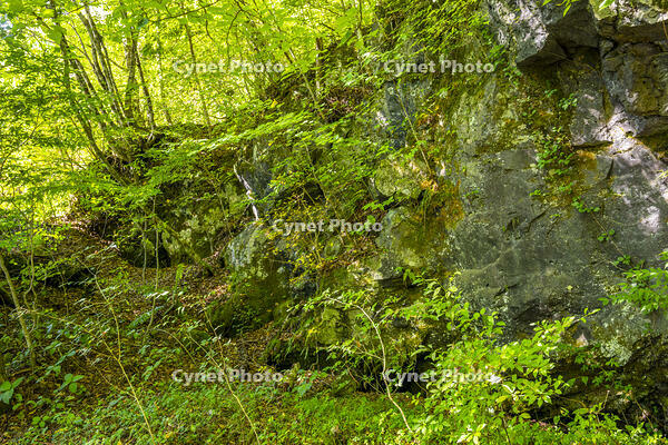 鷹丸尾溶岩の大露頭 [YMA110016179]