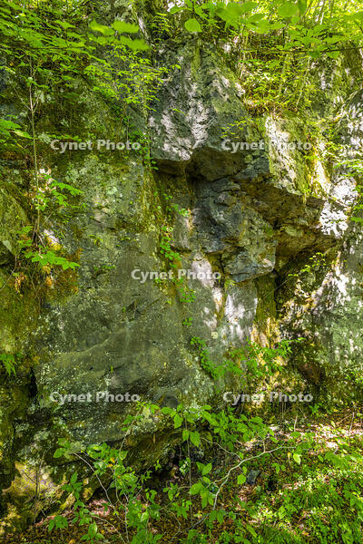 鷹丸尾溶岩の大露頭 [YMA110016180]