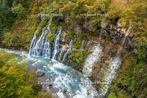秋の白ひげの滝 [YMA110016191]