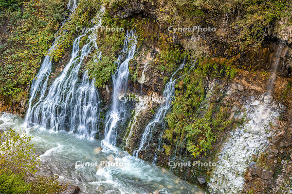 秋の白ひげの滝 [YMA110016193]