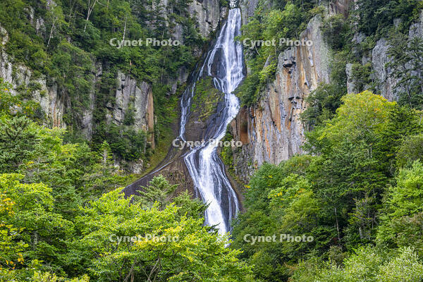 銀河の滝 [YMA110016210]