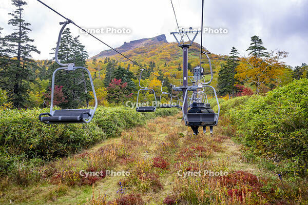 秋の黒岳ペアリフト [YMA110016211]