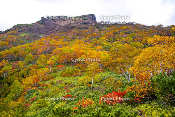 秋の黒岳 [YMA110016212]