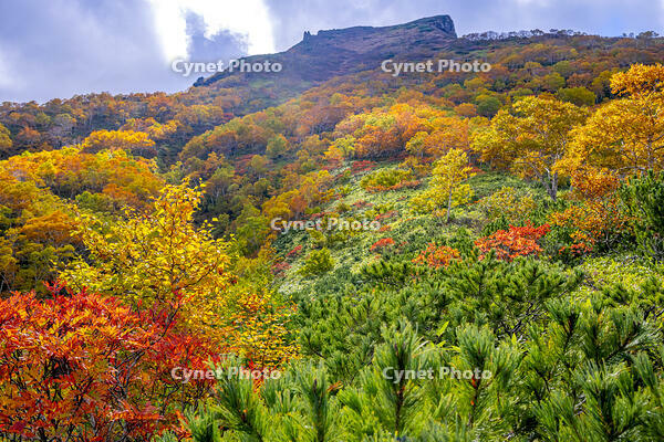 秋の黒岳 [YMA110016215]