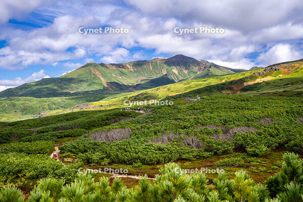 旭岳の第一展望台から見た安足間岳 [YMA110016218]