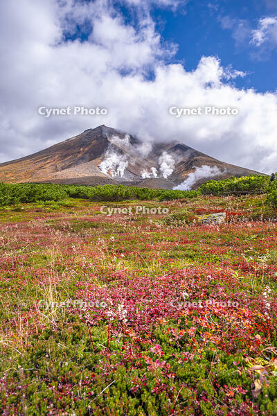 秋の旭岳 [YMA110016223]