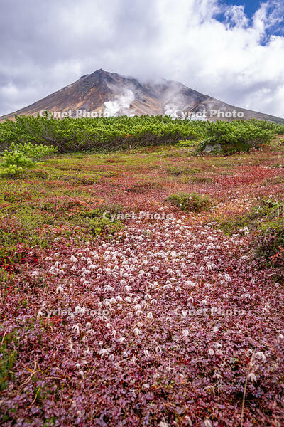 秋の旭岳 [YMA110016225]