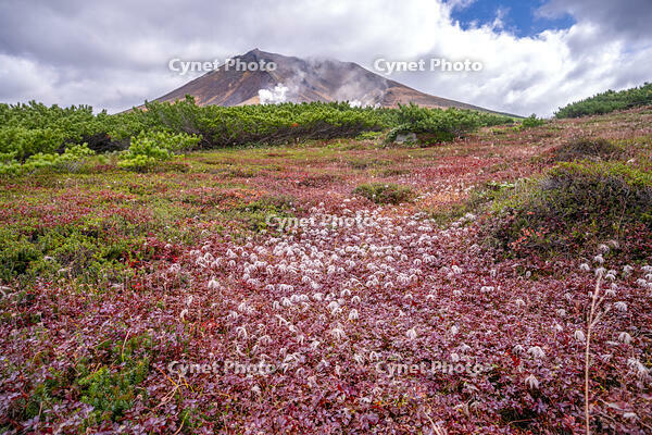 秋の旭岳 [YMA110016226]