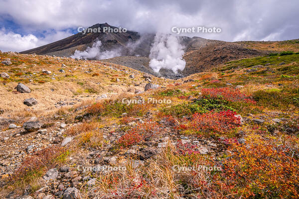 秋の旭岳 [YMA110016240]