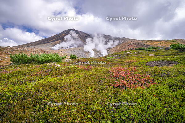 秋の旭岳 [YMA110016241]