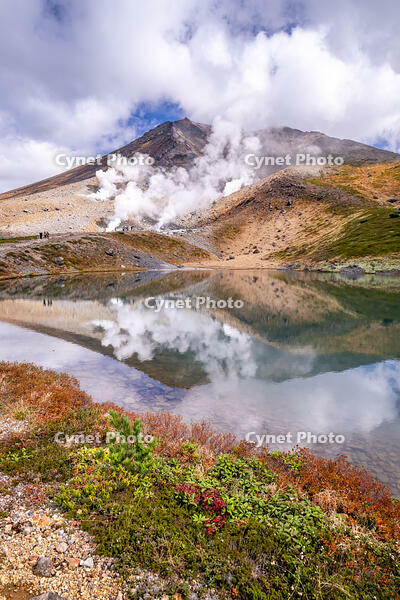姿見の池と秋の旭岳 [YMA110016245]