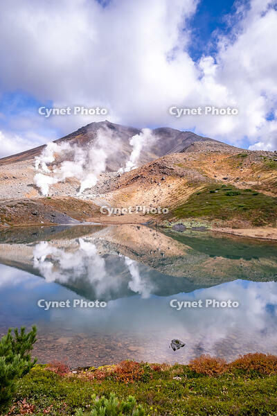 姿見の池と秋の旭岳 [YMA110016246]