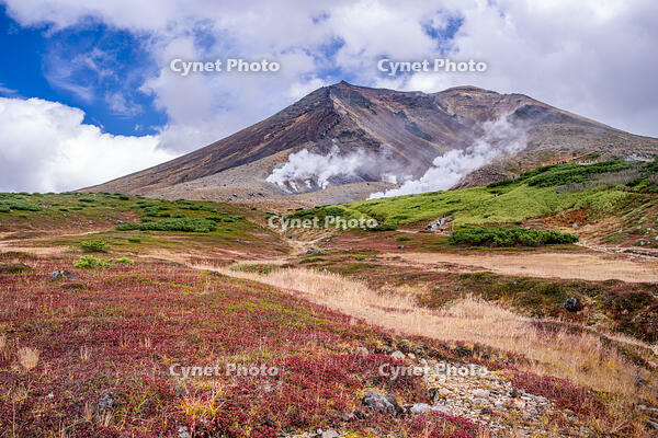 秋の旭岳 [YMA110016254]