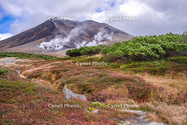 秋の旭岳 [YMA110016255]