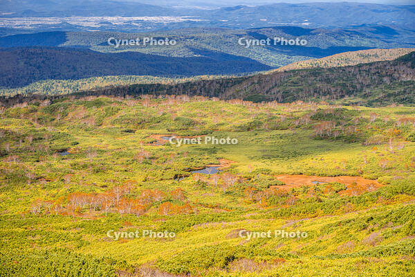 秋の旭岳ロープウェイからの景色 [YMA110016259]