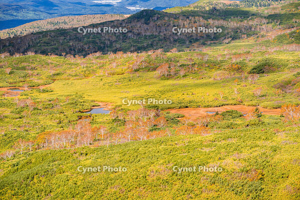 秋の旭岳ロープウェイからの景色 [YMA110016262]