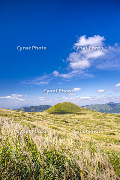 ススキ原と米塚 [YMA110016347]