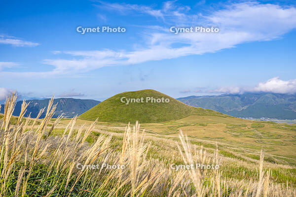 ススキ原と米塚 [YMA110016349]