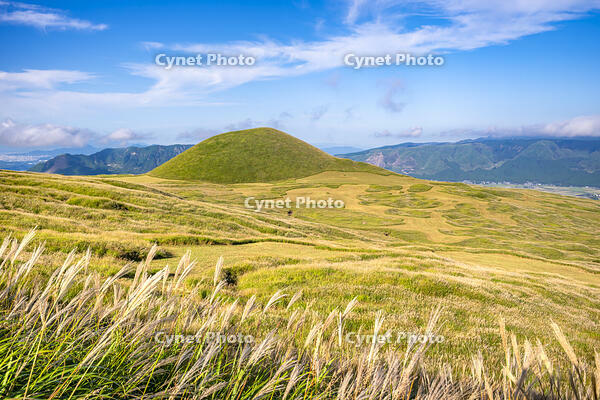 ススキ原と米塚 [YMA110016350]