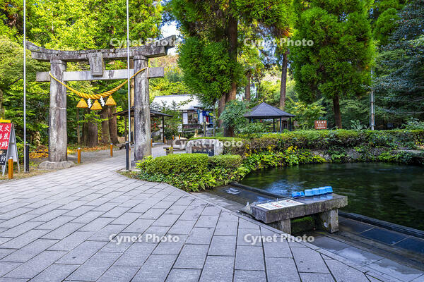 白川水源と白川吉見神社 [YMA110016357]