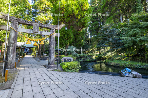 白川水源と白川吉見神社 [YMA110016358]