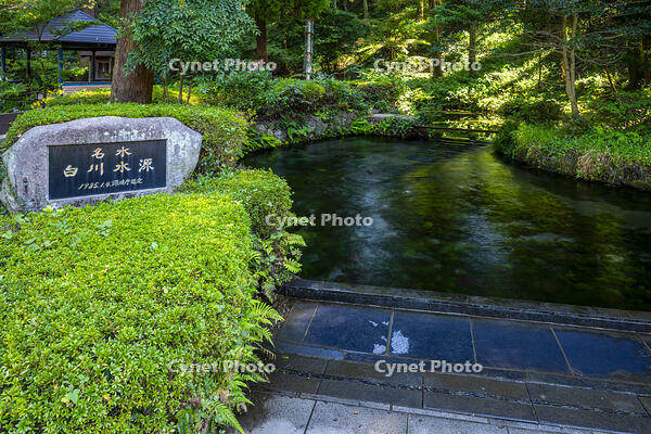 白川水源 [YMA110016360]