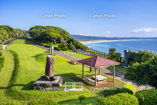 門倉岬 [YMA110016387]