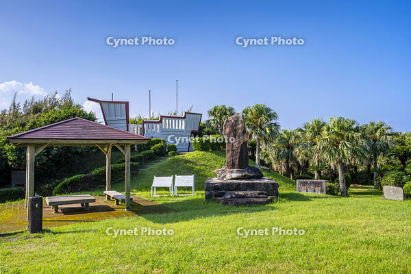 門倉岬 [YMA110016388]